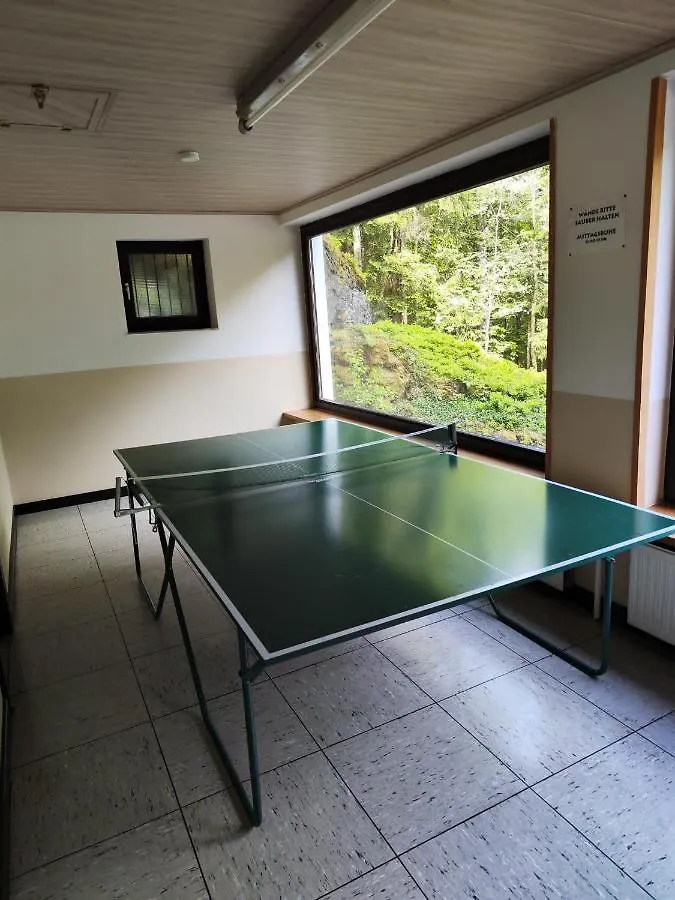 Apartement Wald-Panorama Fuchsenstein Spiegelau 0*,  Germany